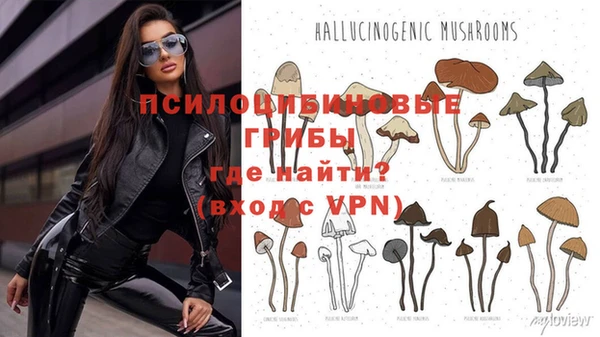 прущая мука Аркадак
