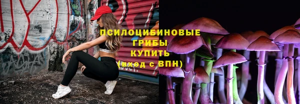 гидра Армянск