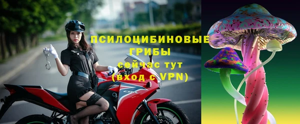 гидра Армянск